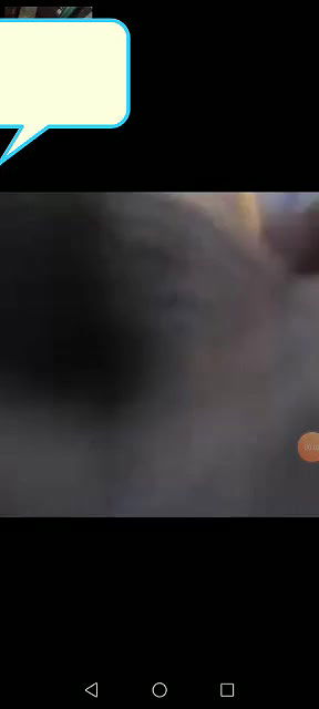 Village Bhabi Showing