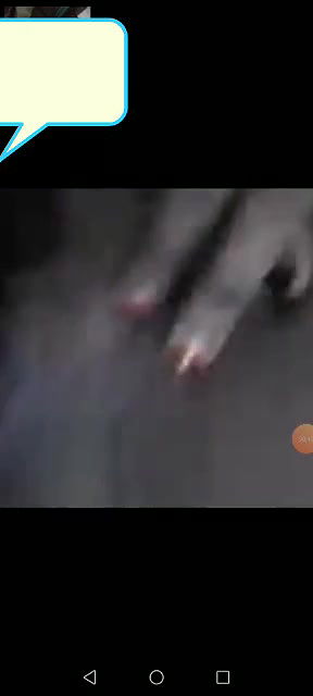 Village Bhabi Showing