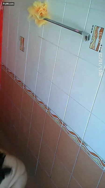 Mysore Bhabhi Bathing MMS – Movies