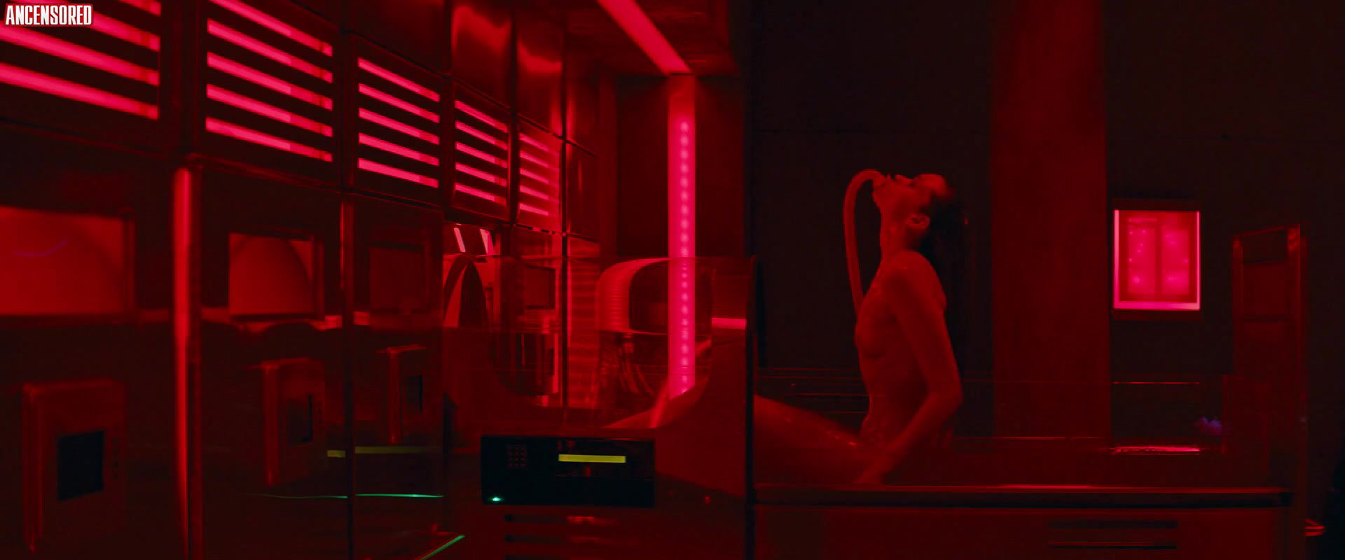 Abbey Lee Kershaw – elizabeth harvest