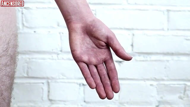 Abbey Lee Kershaw – iv horses