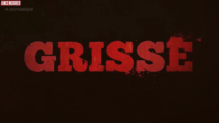 adinia wirasti – grisse