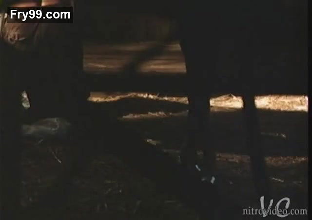 Afifi Alaouie – Dead Weekend