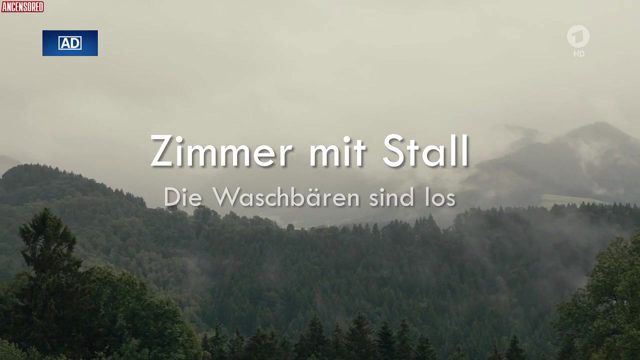 Aglaia Szyszkowitz – zimmer mit stall die waschbaren sind los