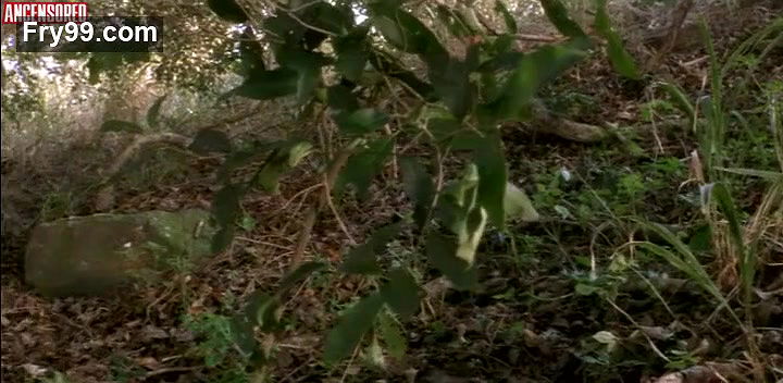 Ako – days of nietzsche in turin