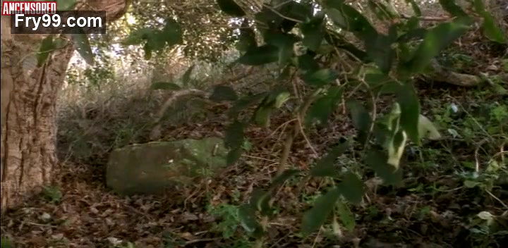 Ako – days of nietzsche in turin