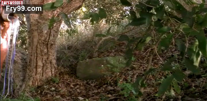 Ako – days of nietzsche in turin