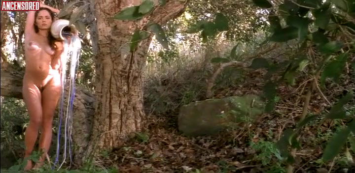 Ako – days of nietzsche in turin