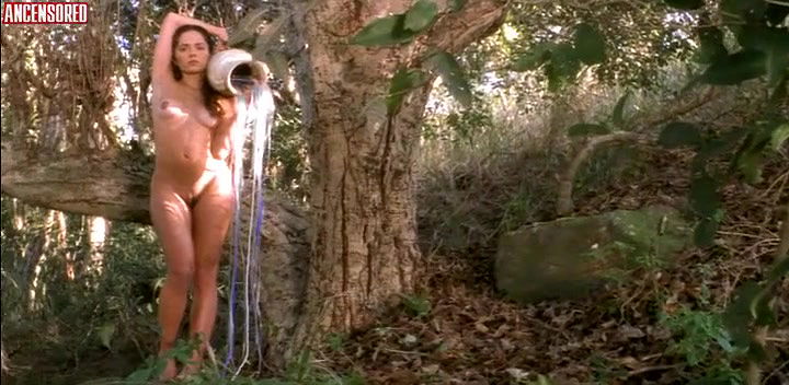 Ako – days of nietzsche in turin