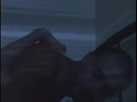 alessandra pozzo – sed