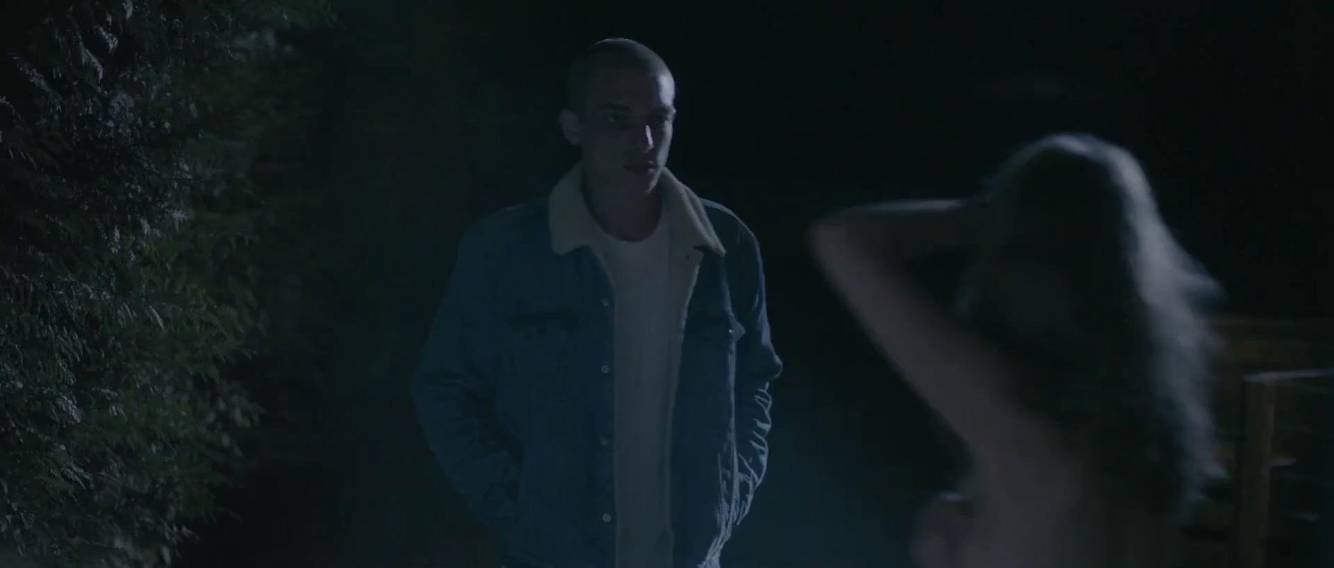 lexandra gentils – les animaux ne senterrent pas