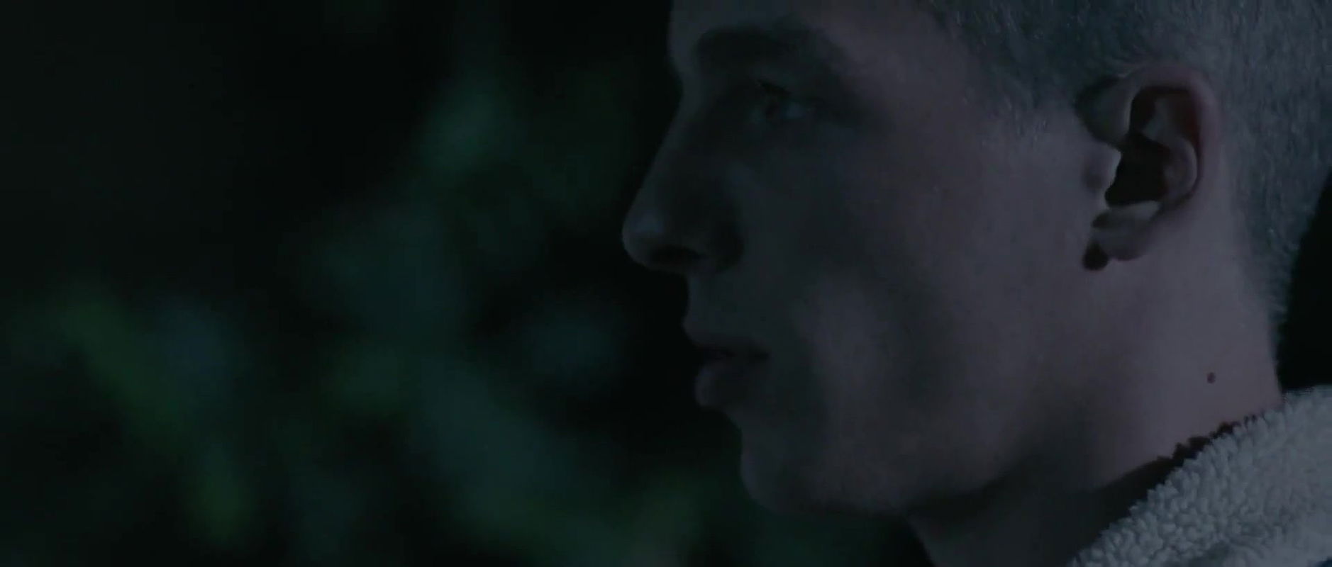 lexandra gentils – les animaux ne senterrent pas