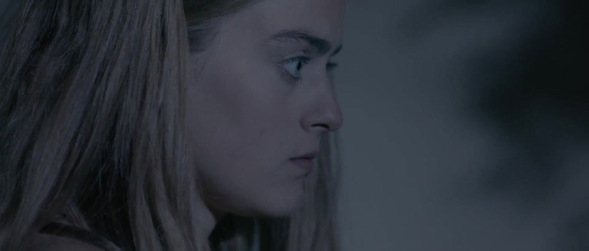 lexandra gentils – les animaux ne senterrent pas