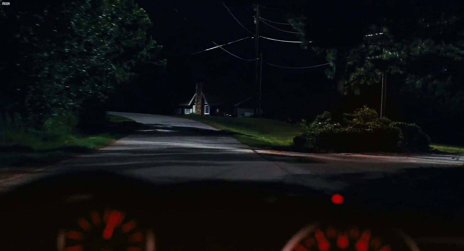 Ali Cobrin – American Reunion