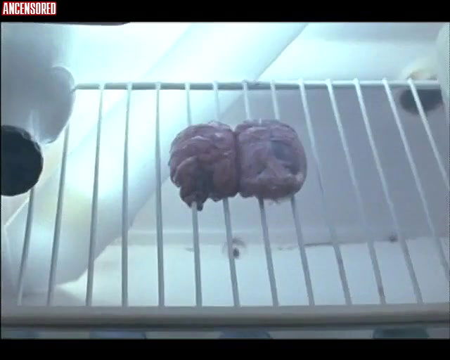 alice david – telencephale