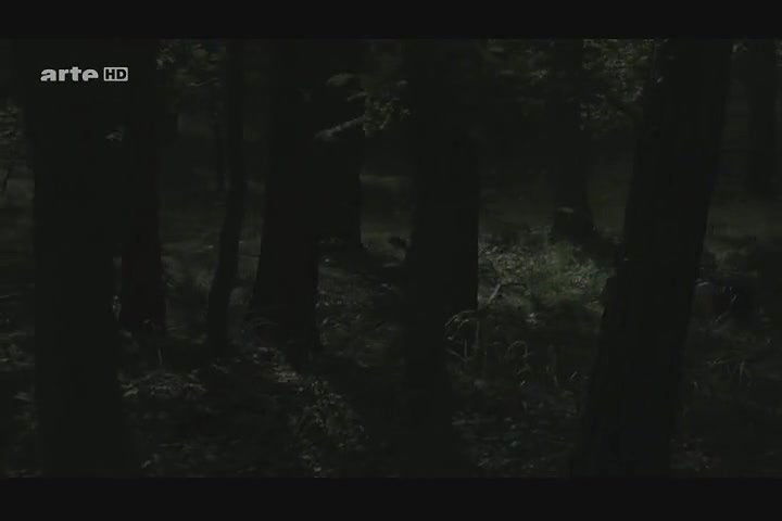 Alice Dwyer – Die verlorene Zeit