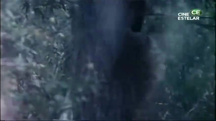 Alicia Encinas – la cosecha de mujeres