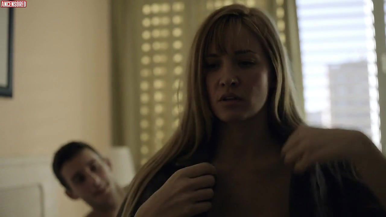 alina nastase – the fence