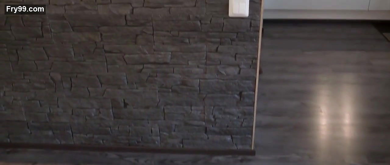 alina tomnikov – perheenjakaja