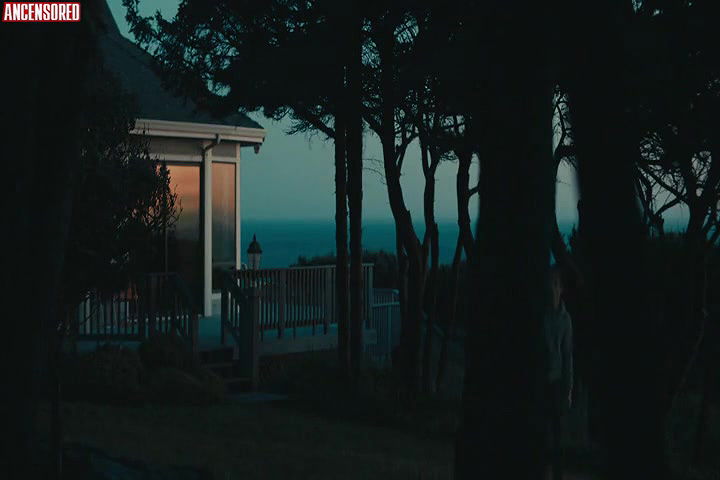 Alison Brie – the rental