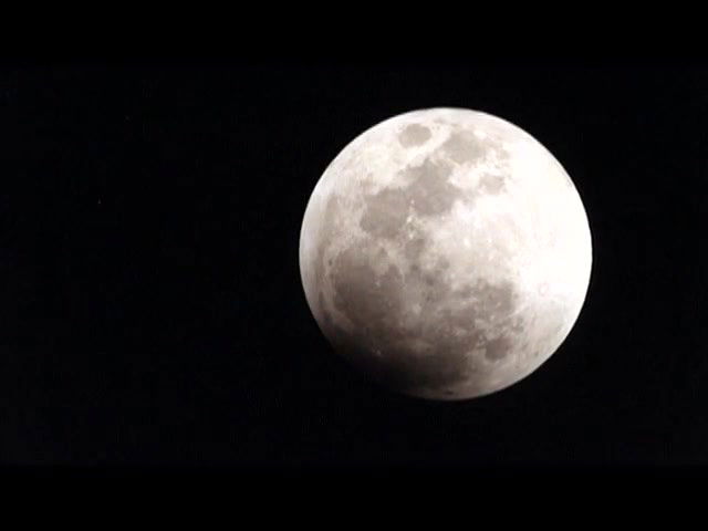 Amber Goldfarb – werewoman