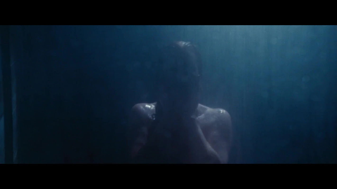 Amy Adams – nocturnal animals