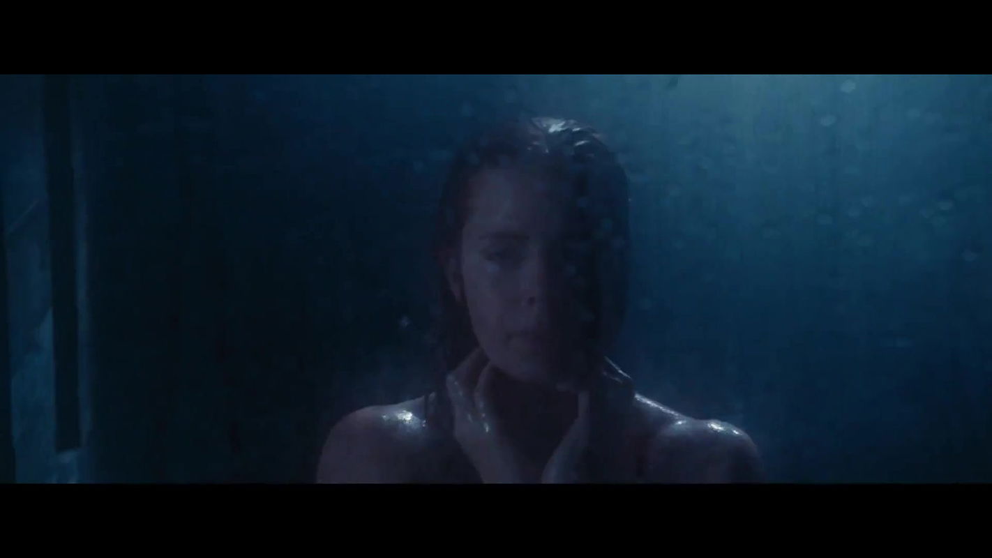 Amy Adams – nocturnal animals