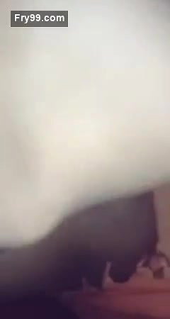Beautiful girl riding on dick