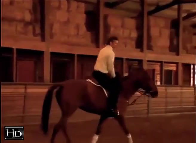 Amy Rochelle – Playboy Fantasies II