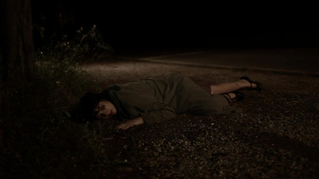 ana guiomar – a purga