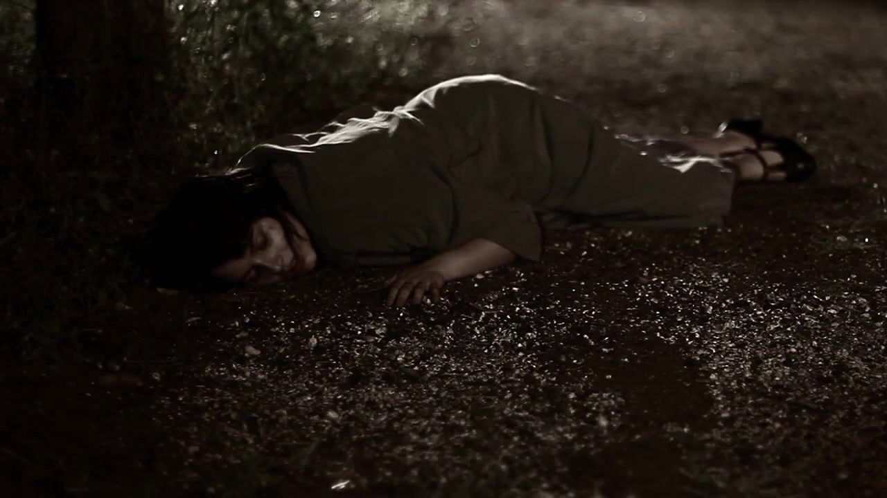 ana guiomar – a purga