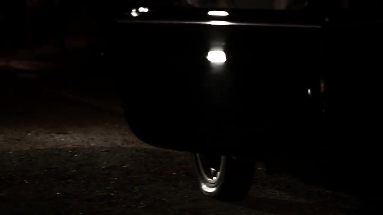 ana guiomar – a purga