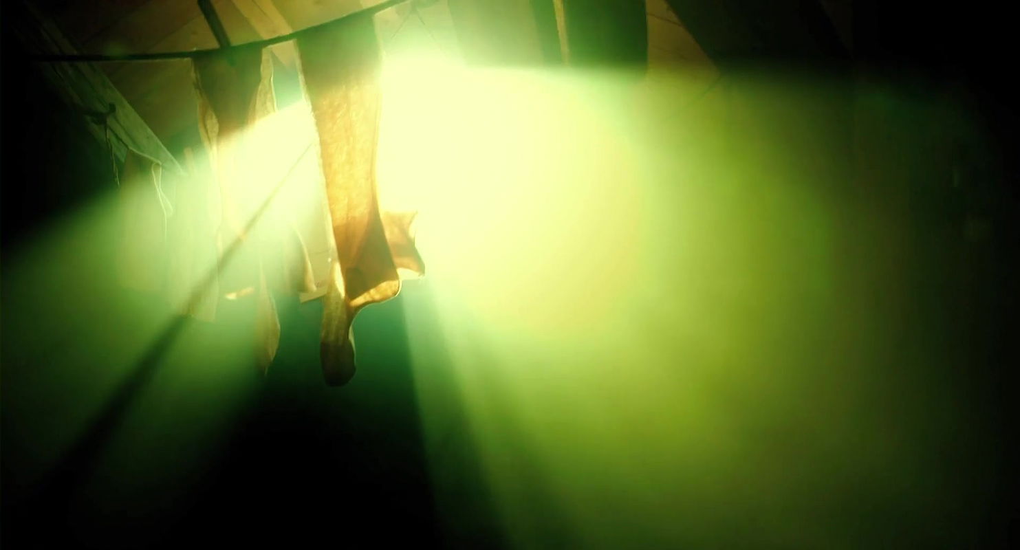 Anastasiia Kyryliuk – Die Vermessung der Welt