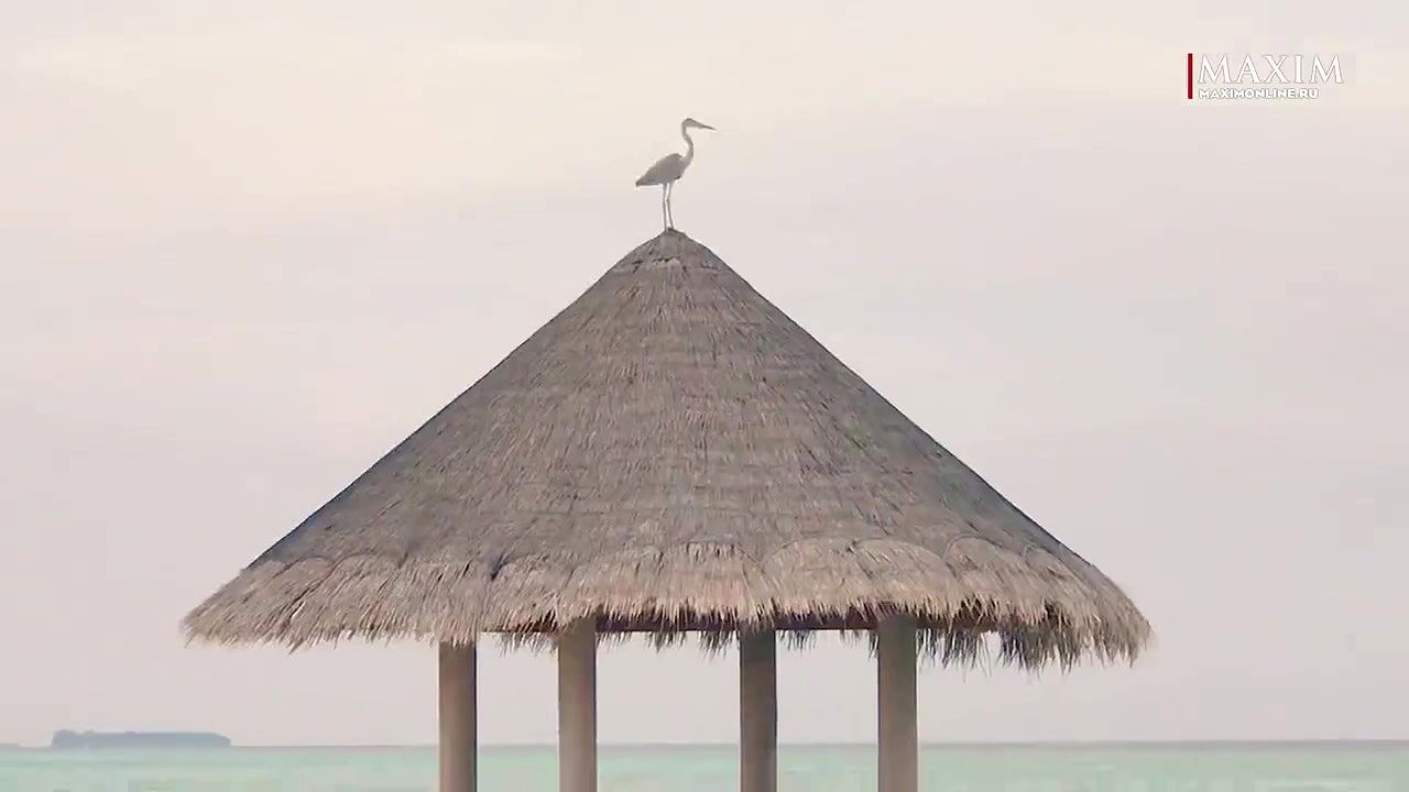 Anastasiya Zadorozhnaya – Maxim Photoshot