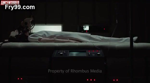 Andrea Riseborough – possessor