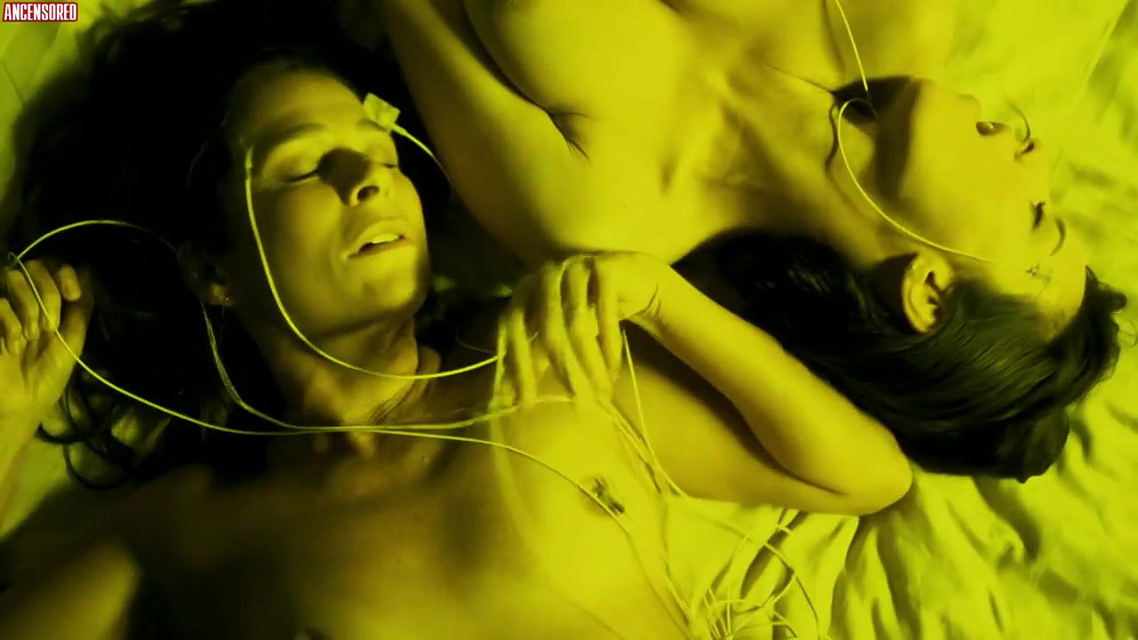 andreia horta – albatroz