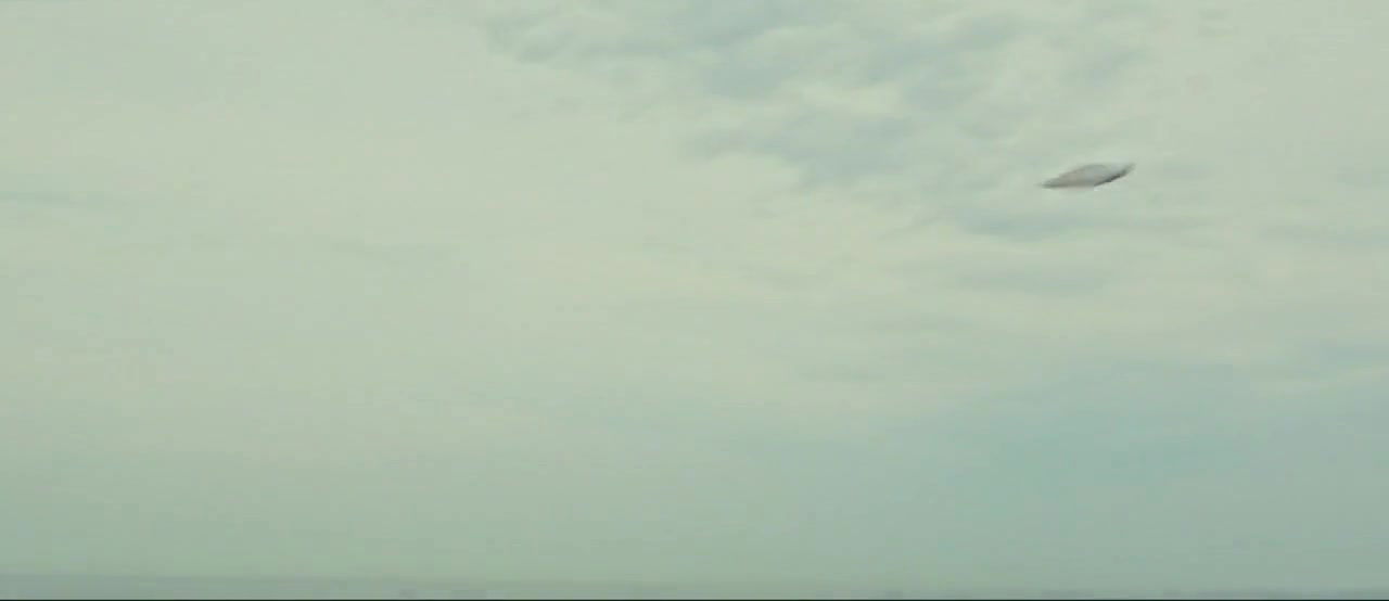 andreia horta – elis