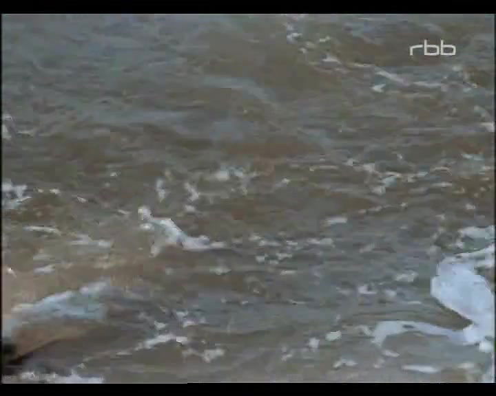 Angelica Domr – Verwirrung der Lieb