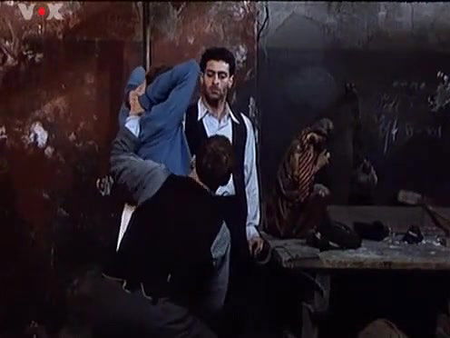 Anica Dobra – Rosamunde