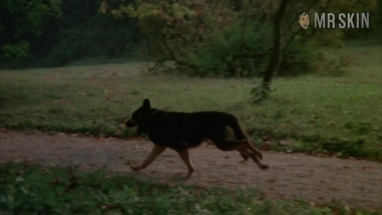 aniko safar – Vizi privati pubbliche virt