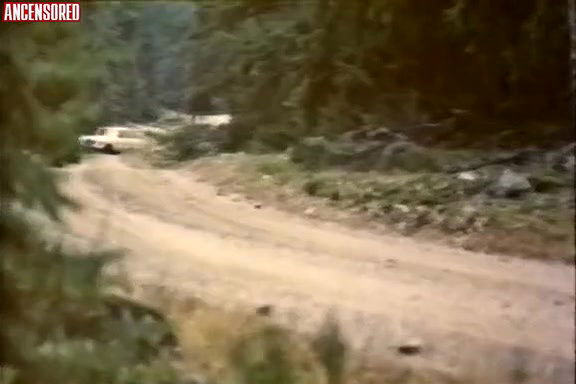 Anita Ericsson – Swedish Sex Games