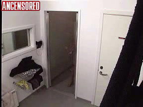 anja hansen – big brother denmark