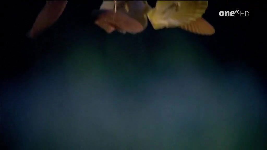 Anja Knauer – meine tochter und der millionar