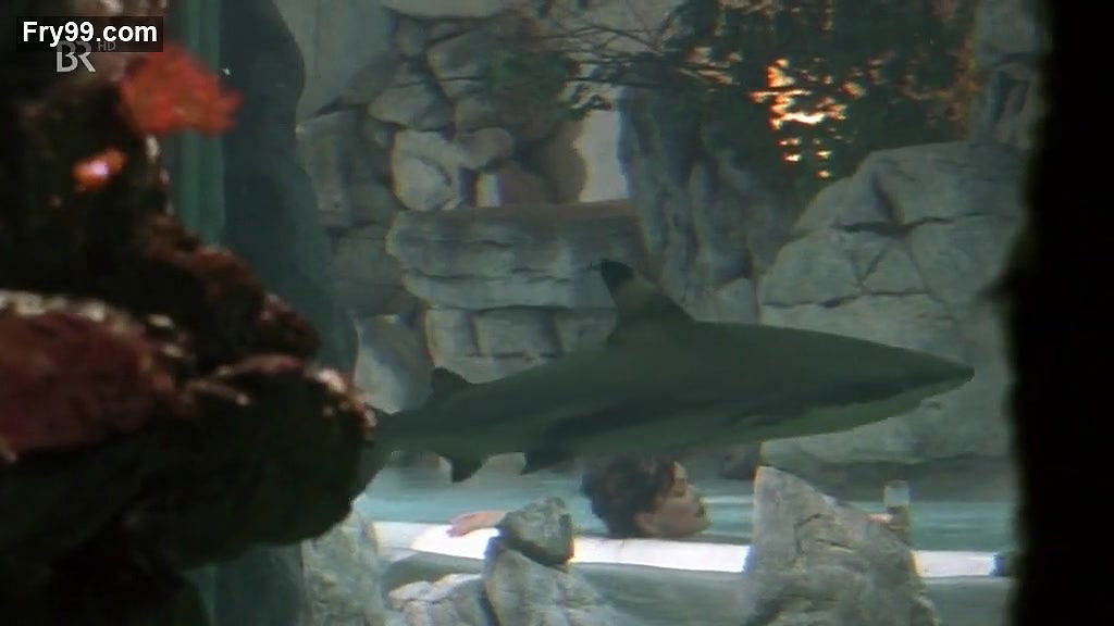 Anja Kruse – da wo die heimat ist