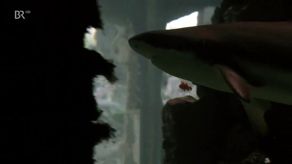 Anja Kruse – da wo die heimat ist