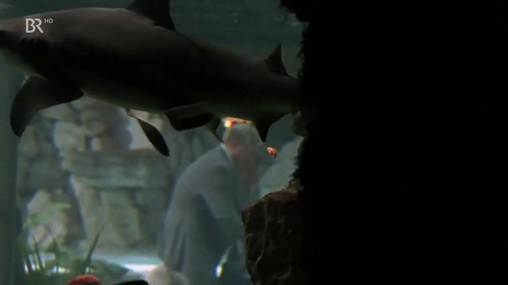 Anja Kruse – da wo die heimat ist