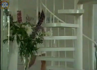 Anja Sch – Derrick