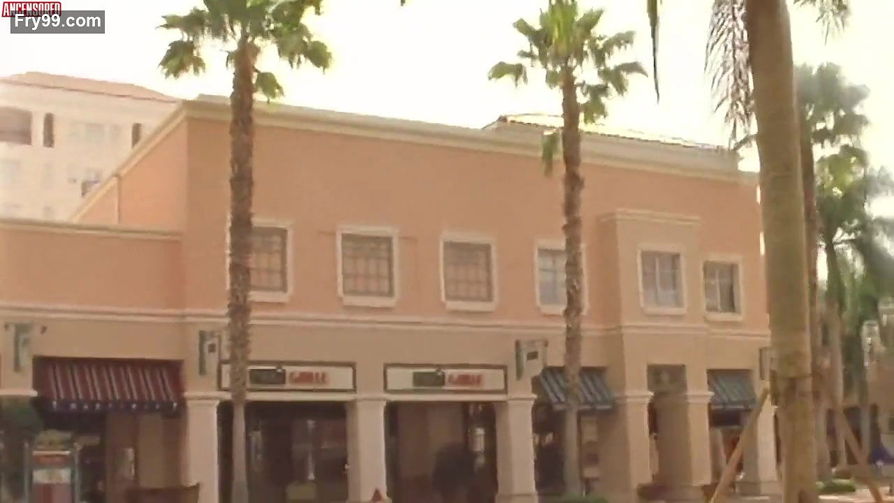 anka romensky – assassins vow