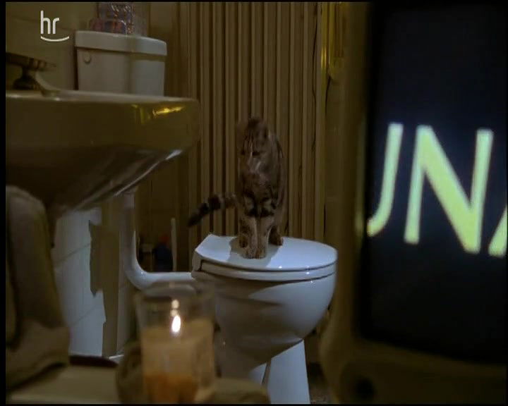 Ann Kathrin Kramer – Allein unter M