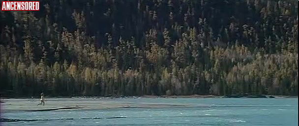 anna dzenilalova – purplesunset